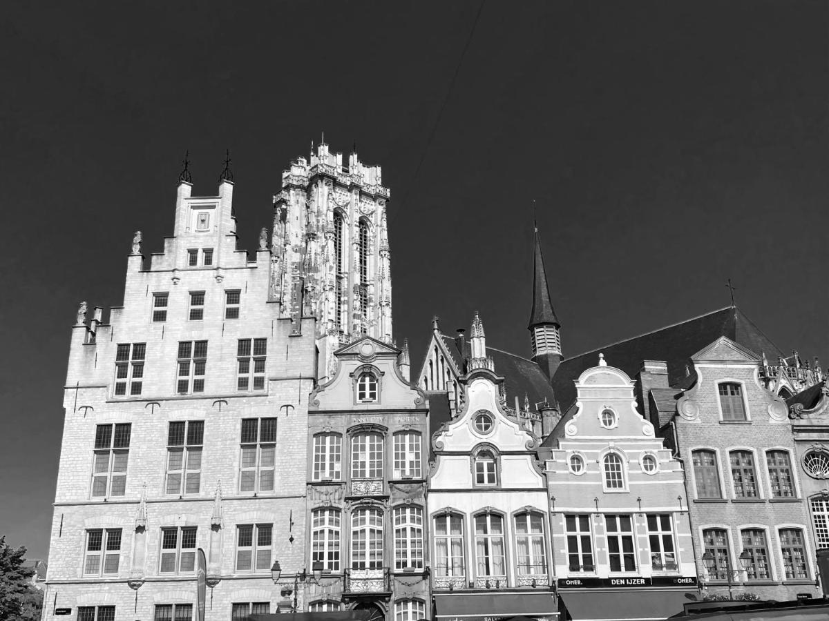 Nova Zembla Bed and Breakfast Mechelen Buitenkant foto